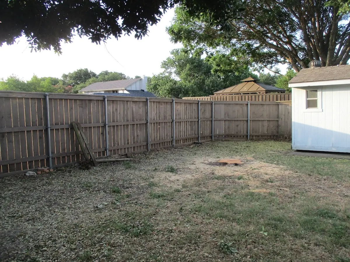Cleared yard after professional tree removal in Bonaire